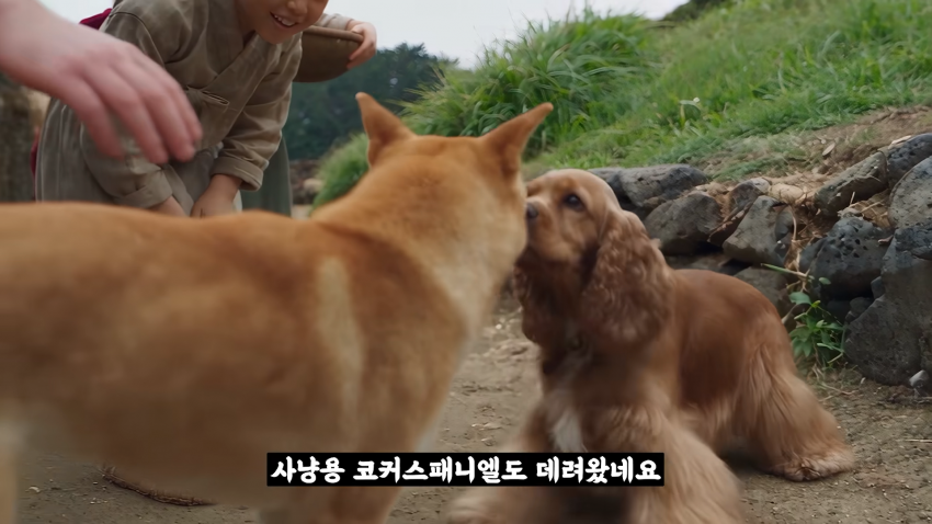 왜 거문도에는 영어 사투리가 존재 하는 걸까? (37)