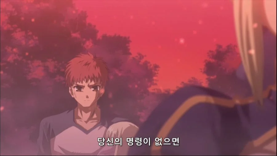 페이트 스테이 나이트 엔딩 (2)