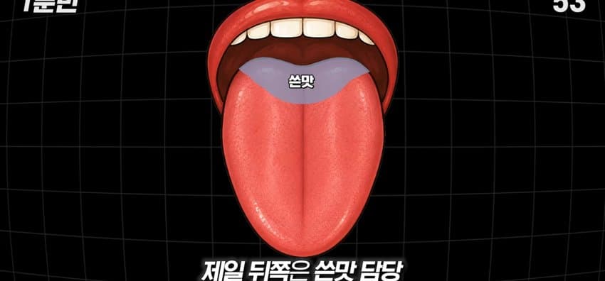 학교에서 배운 '혀 맛' 지도가 잘못됐다..? (4)