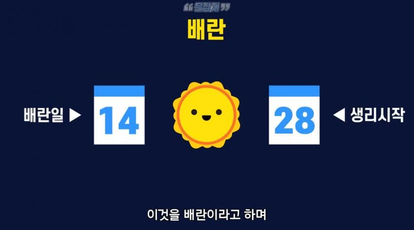 남자들은 잘 모르는 냉 이라는 것에 대하여 (9)