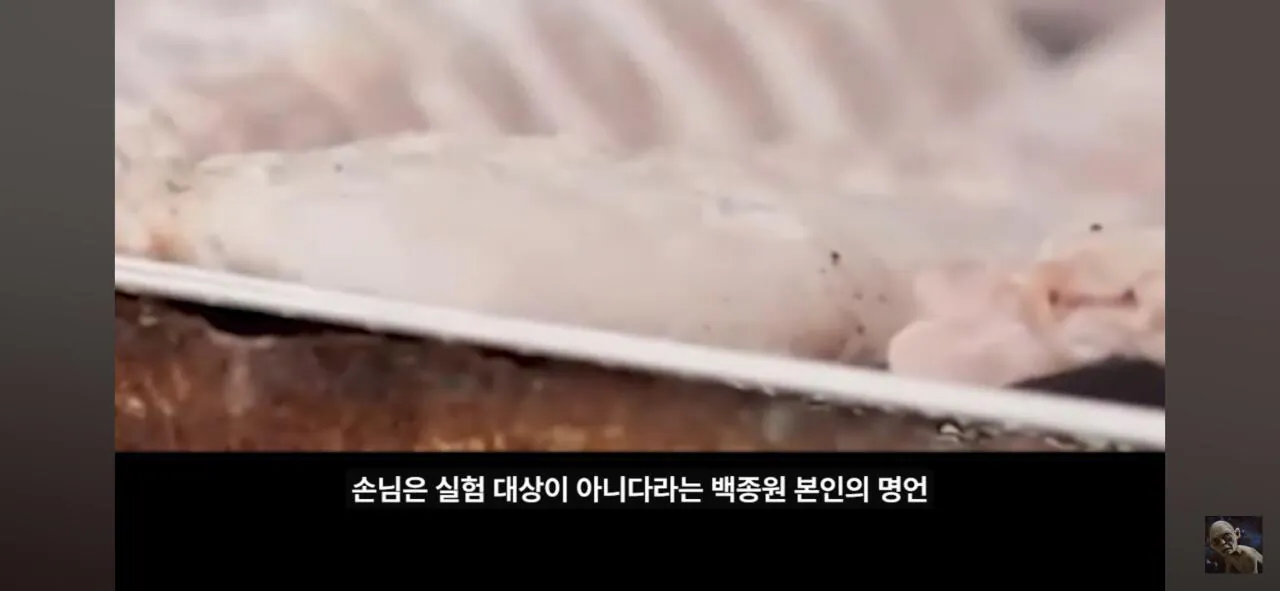 더본코리아 고소에 무혐의 유튜버 '탐코'가 말하는 백종원과 위생 (10)