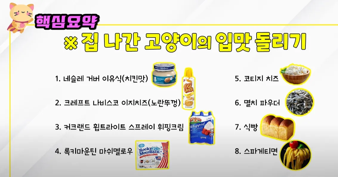 수의사가 얘기한 고양이가 좋아하는 사람음식