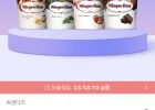 하겐다즈 파인트 4개