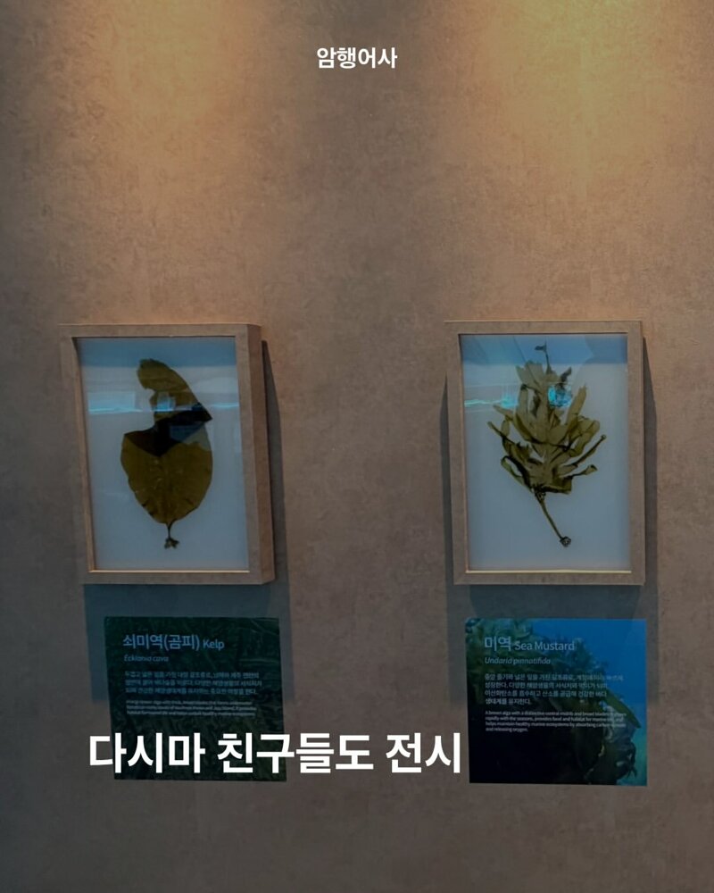여수 섬박람회 퀄리티 논란 (3)