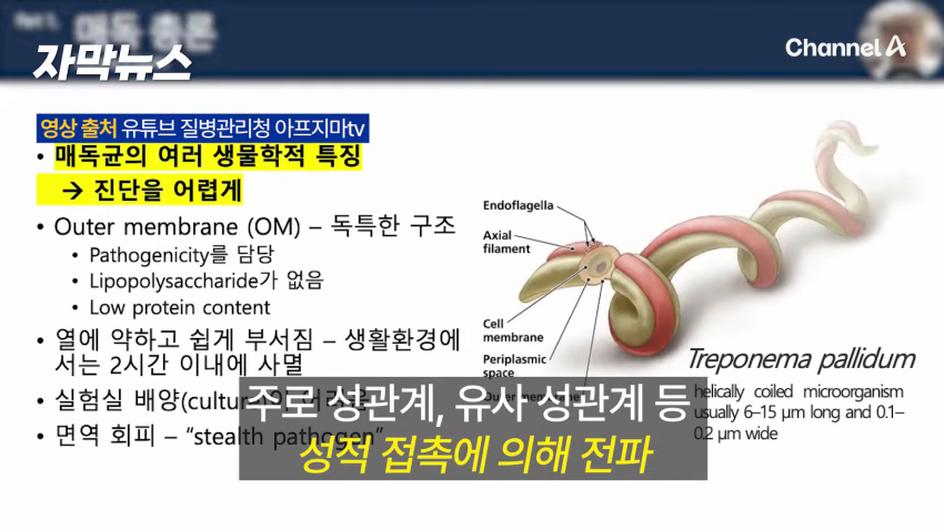 매독 감염자 확산, 한국 2030 남성 상당수(?) (11)