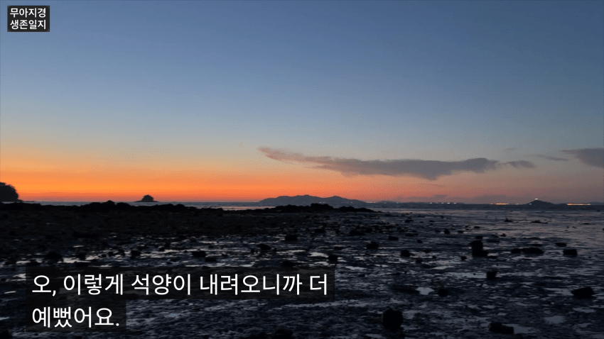갯벌에서 식자재 해결하는 여자 (34)