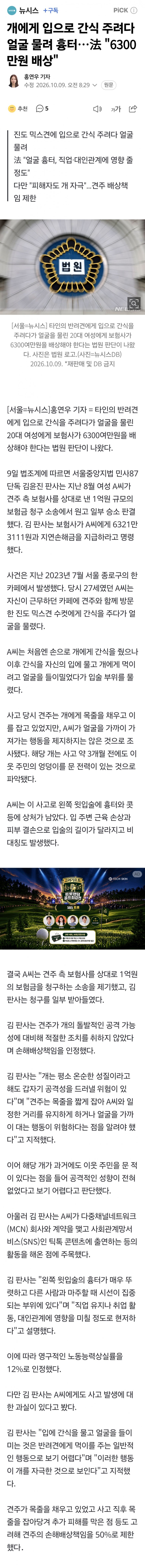 남의 집 개한테 입으로 먹이주다 쳐물린 20대 쿠먼.News