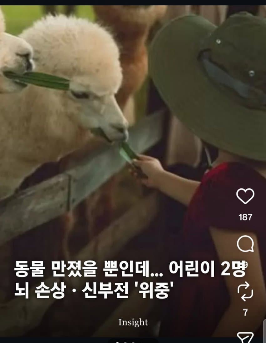 동물 만졌을 뿐인데... 어린이 2명 뇌 손상, 신부전 '위중'