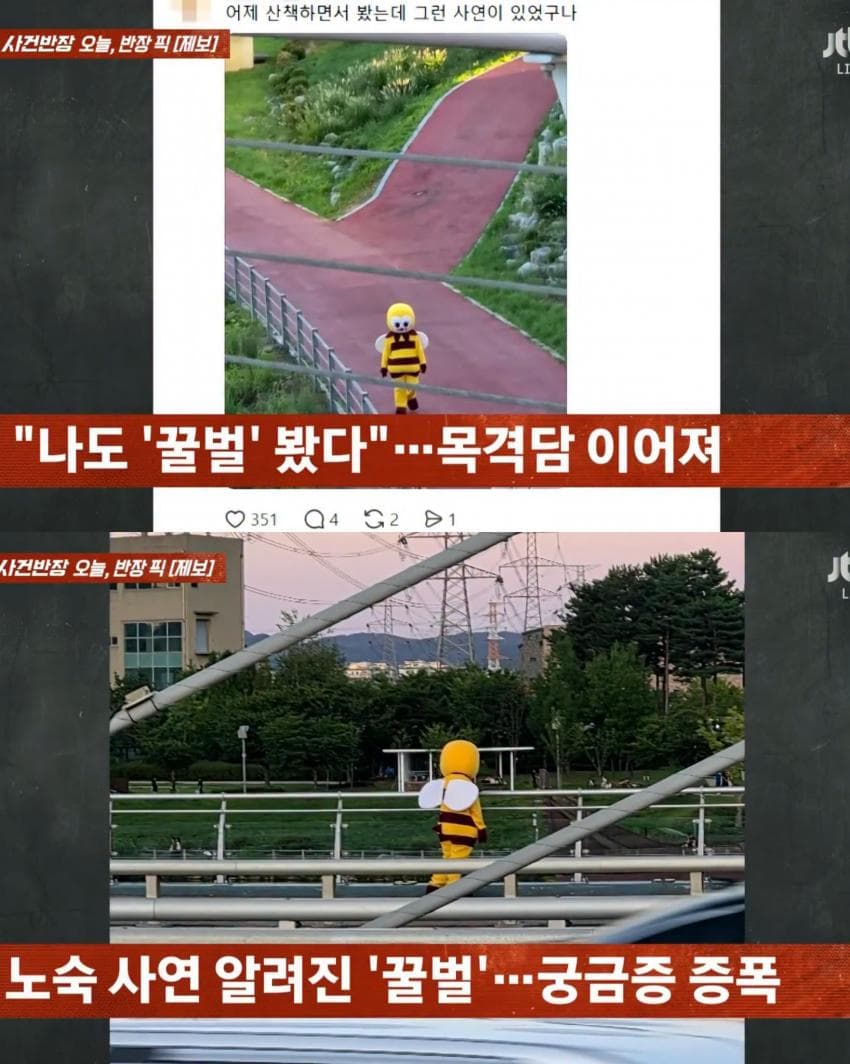 꿀벌 옷 입는 이유 (3)