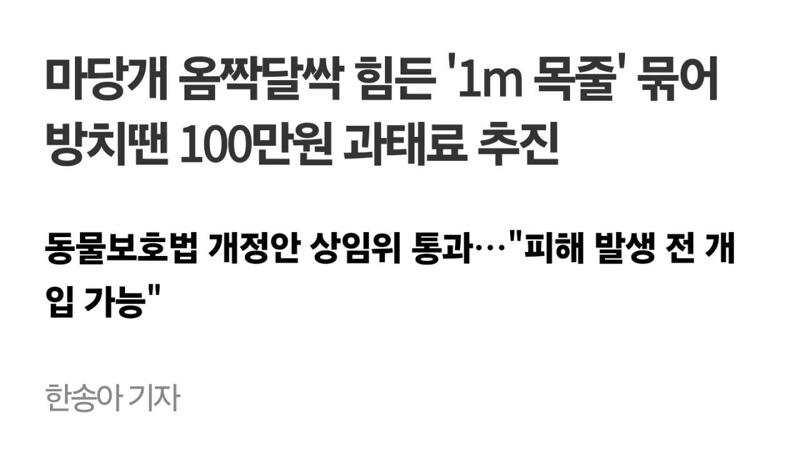마당개 옴짝달싹 힘든 '1m 목줄' 묶어 방치땐 100만원 과태료 추진 (3)