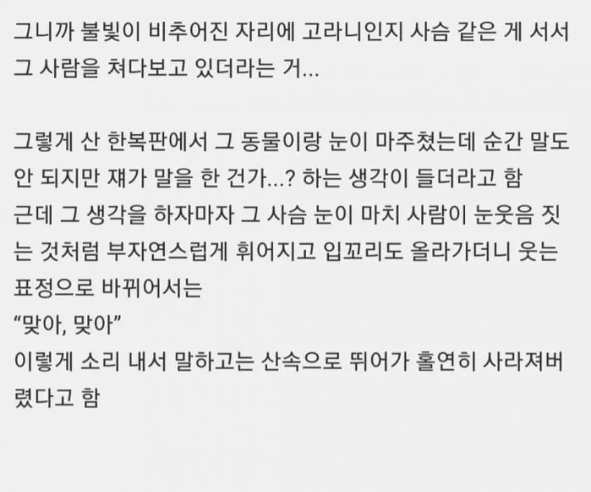 공포) 여초등산괴담