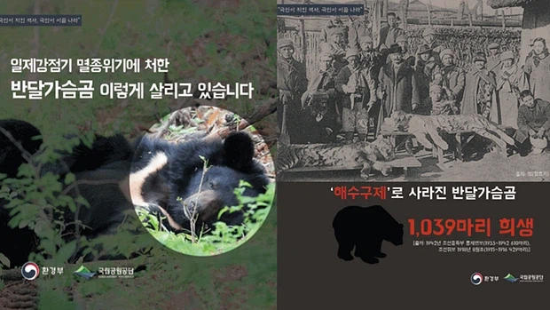 사실 우리나라는 일본 곰맘들 욕 못해요.
