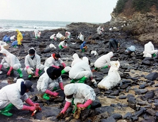 금모으기 운동 이래 최대 단결력 (2)