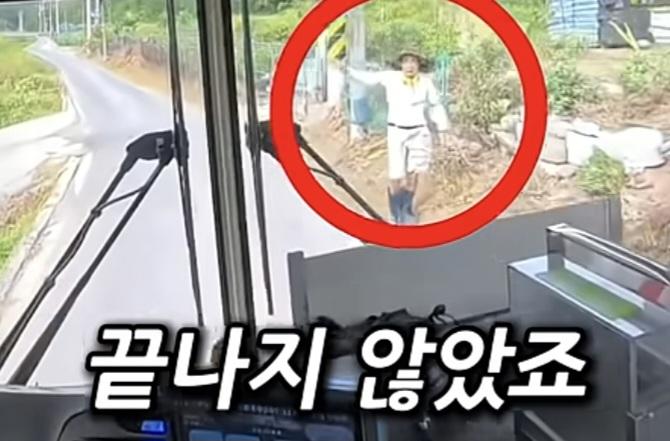 시골 카르텔 (17)