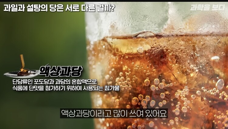 탄산음료 액상과당이 몸에 안좋은이유 (8)