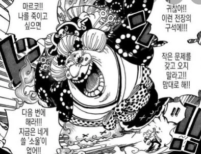 원피스)제대로 이긴적이 없는데 고평가 되는 캐릭터 (12)