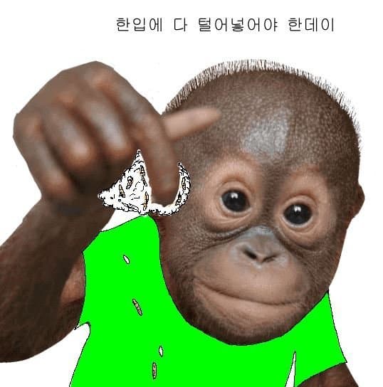 비엣남 떡밥 슬슬 불쾌해지는 이유
