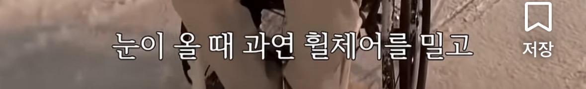 폭설을 뚫고 편의점을 간다는 박위 (3)