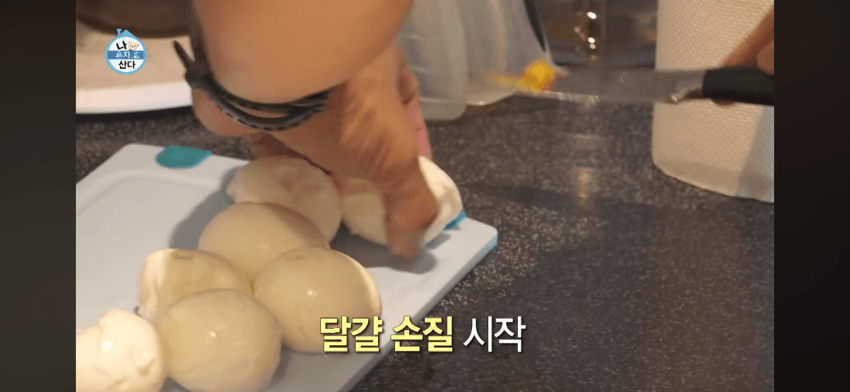 [나혼산] 인천인들은 대부분 다 안다는 계란초 (8)