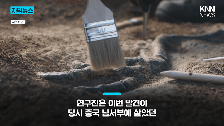 공사장에서 1억 년 전 초대형 공룡 발견 (14)