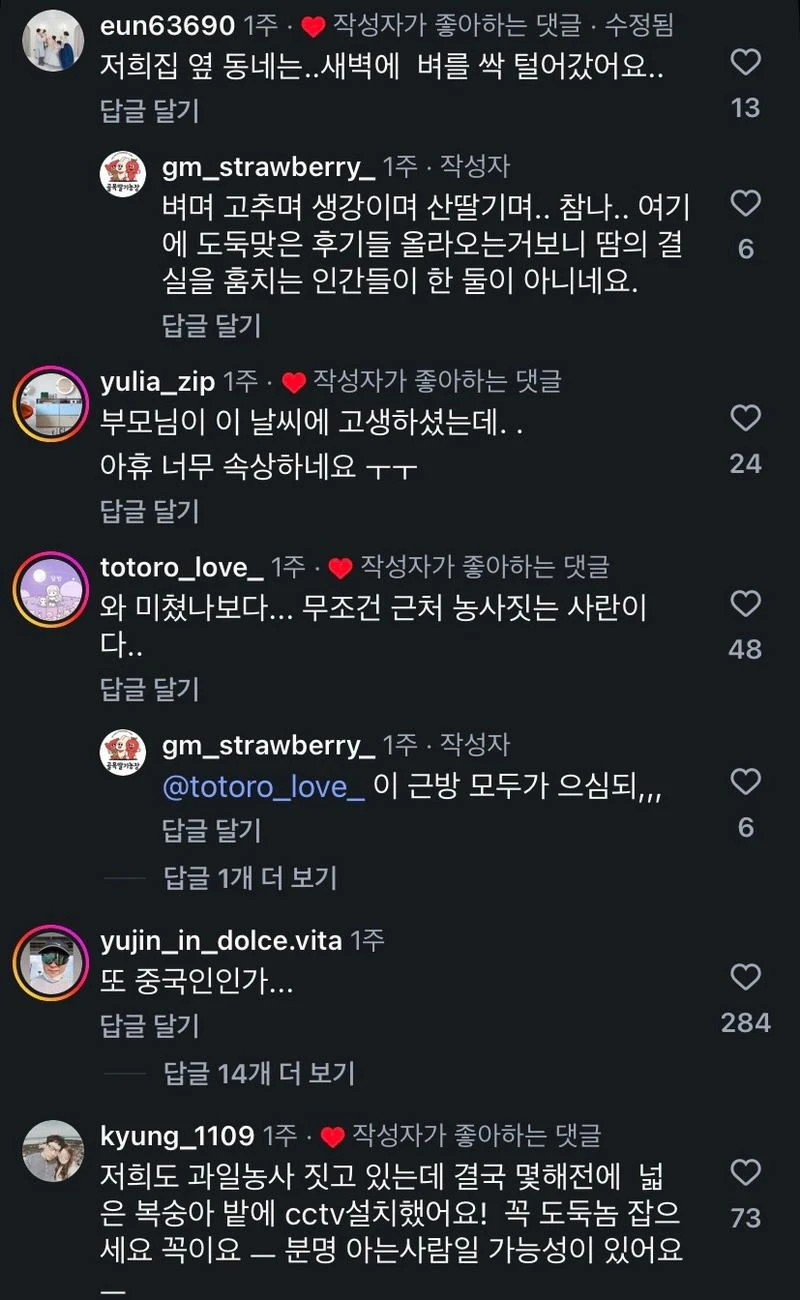 애써 지은 농작물을 짧은 틈에 도난 당했다..jpg