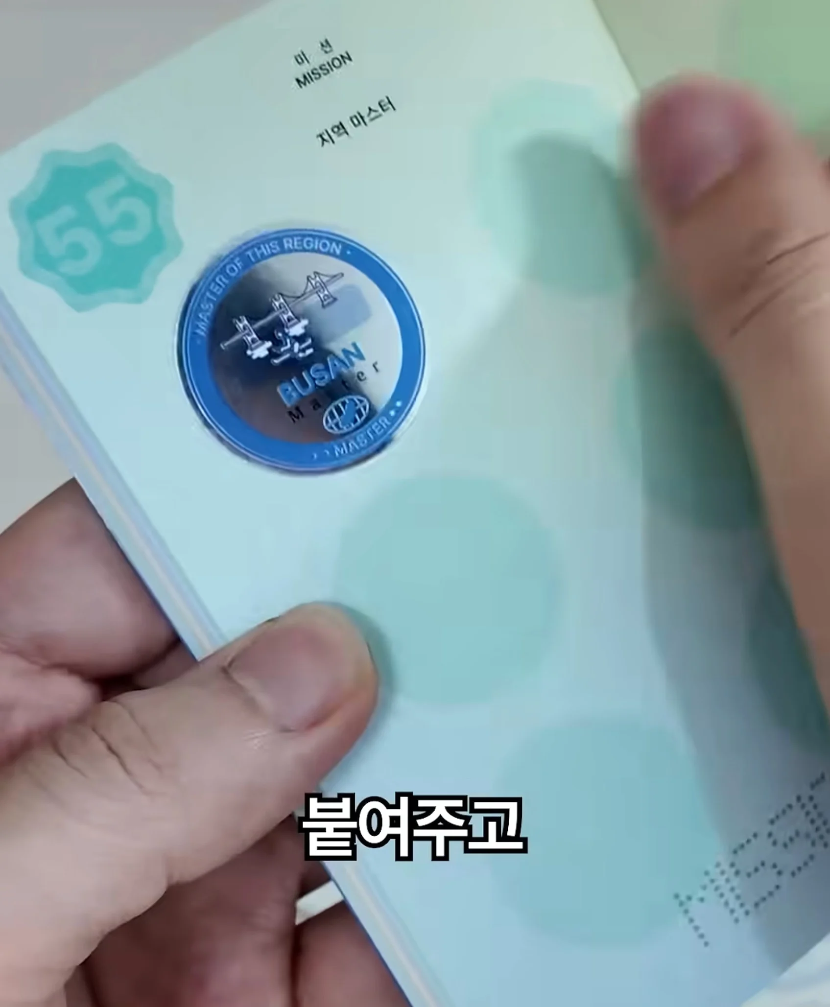 국내용 여권이라고? (3)