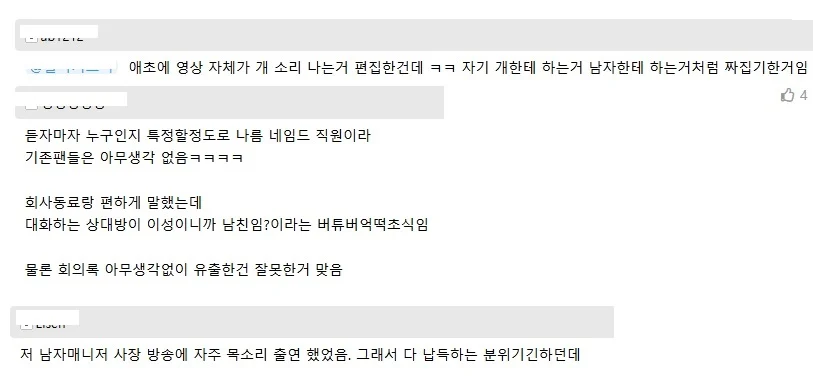 남친 걸렸다던 버튜버 원본 (2)