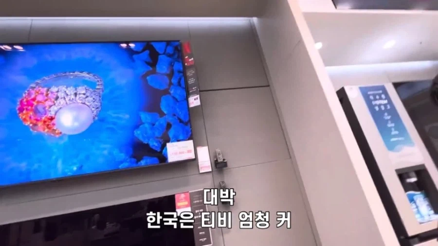 한국에 대해 전혀 몰랐던 일본 청년들의 최후 (11)