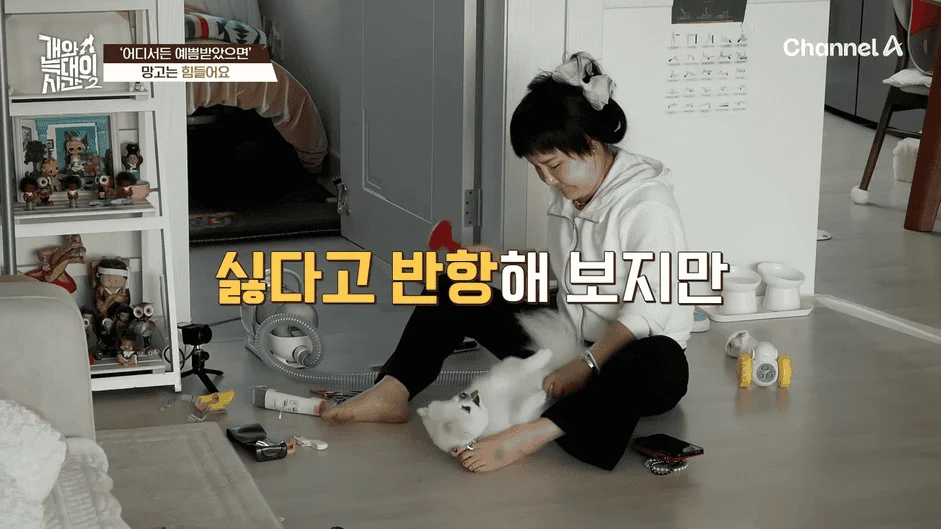 [#개와늑대의시간2] _저 같아도 물 것 같._ 하루에 개를 462번 부르는 보호자!_😨🚨 (귀에 딱지 앉을 듯.)🤕🐕 _ 개와 늑대의 시간2 17회 7-44 screenshot.png