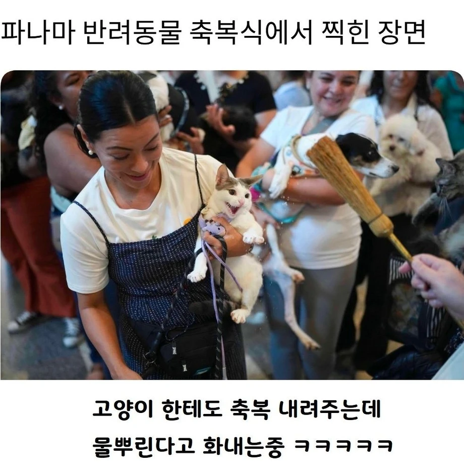 파나마 반려동물 축복식에서 찍힌 장면