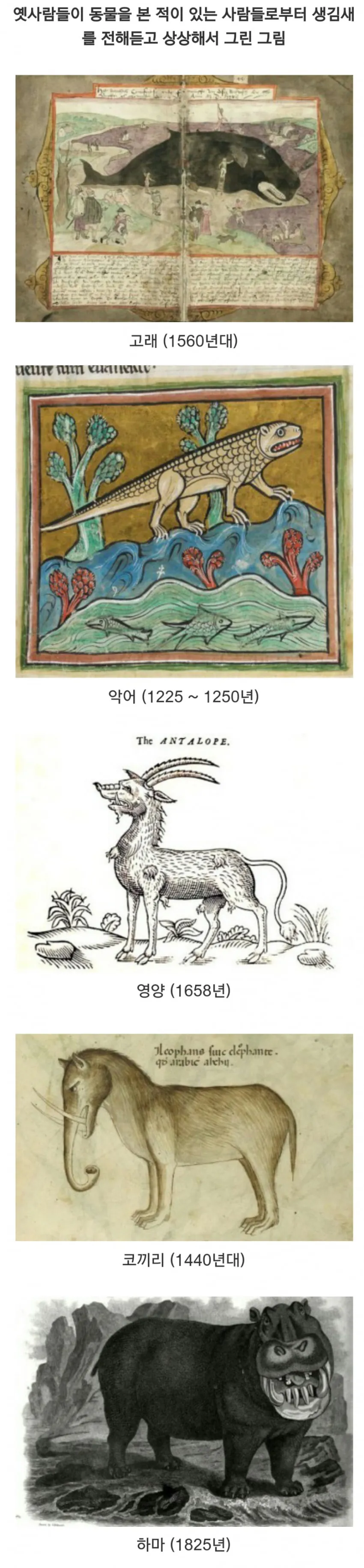 옛사람들이 말로 전해 듣고 상상해서 그린 동물 삽화