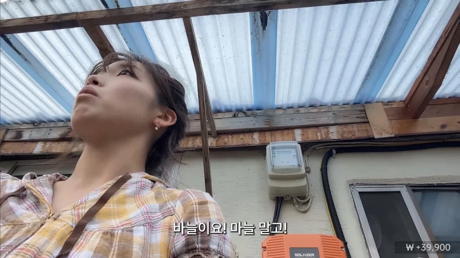 의외로 왜 효과가 있는지 모른다는 민간요법 (9)
