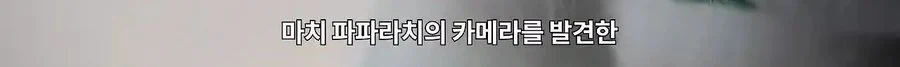 기안84 : 저희 개는 물어요