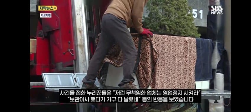 보관이사 맡겼다가 곰팡이, 벌레로 가구 다 망가진 제보자 (29)