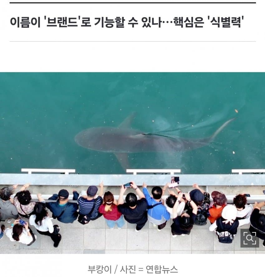 '부캉이' 상표 먼저 '찜'한 개인…'펭수·덮죽' 때와 다르다? (11)