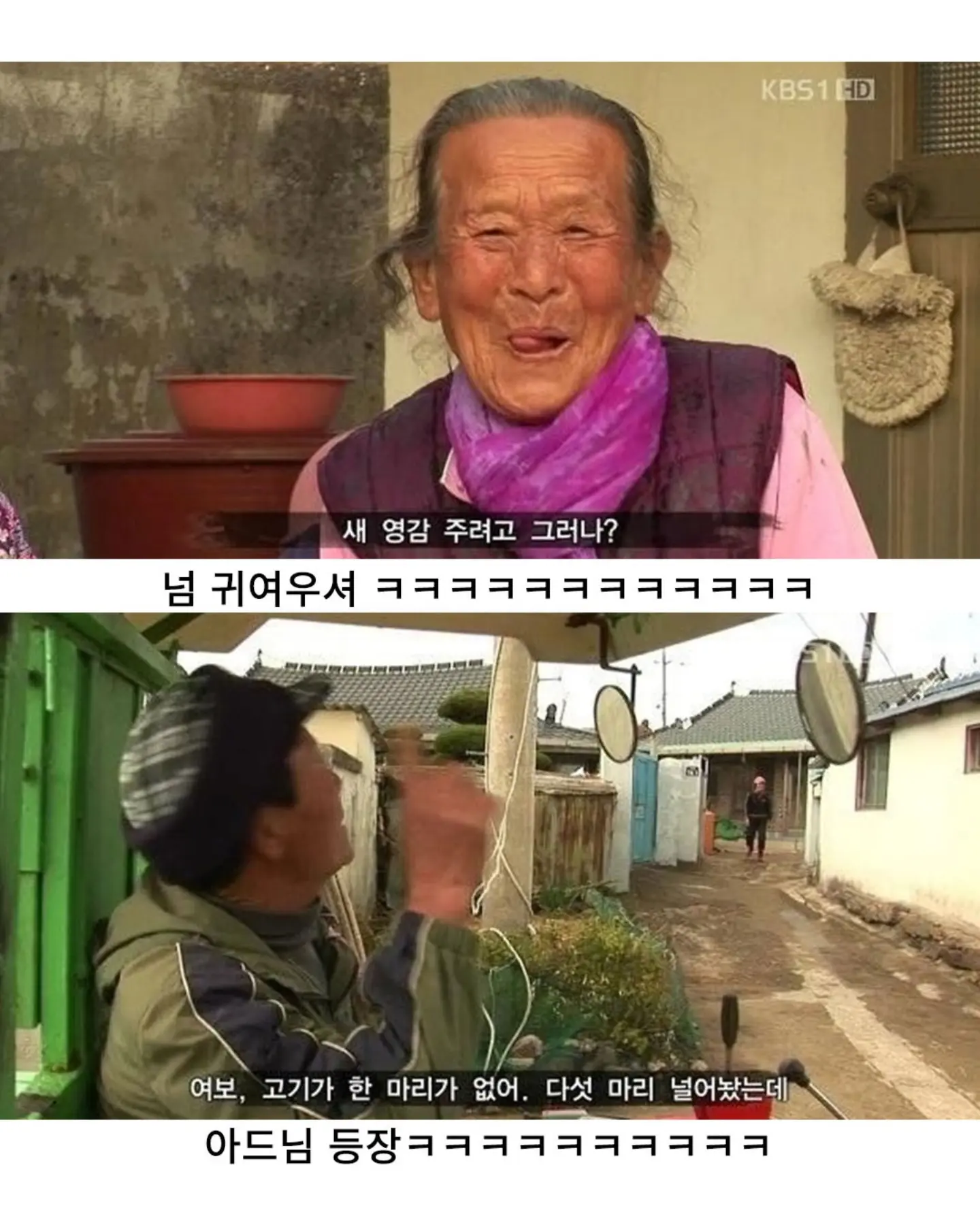 고양이가 생선 안 훔치게 지켜보라 부탁받은 할머니 (11)