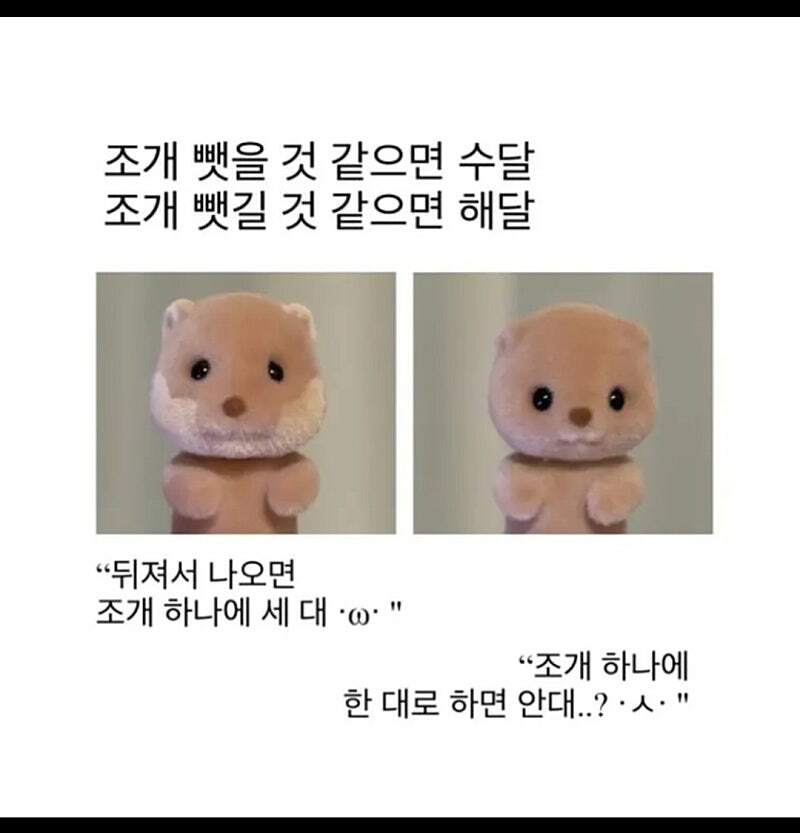 수달과 해달 구분법