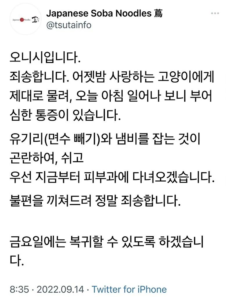 고양이에 물리고 9일만에 사망한 미슐랭쉐프ㄷㄷㄷ (2)
