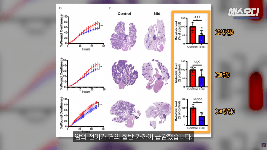 비아그라는 위대했다..역대급 암치료법 등장 (43)