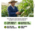 [네이버]백다대기 오이 2kg(9,900원/무료)