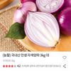 국내산 만생 자색양파 3kg 대