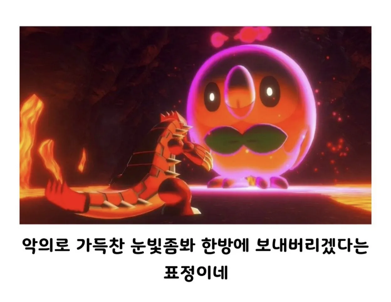 진짜 쟤랑 싸워요? 라고 보던 애 근황 (2)