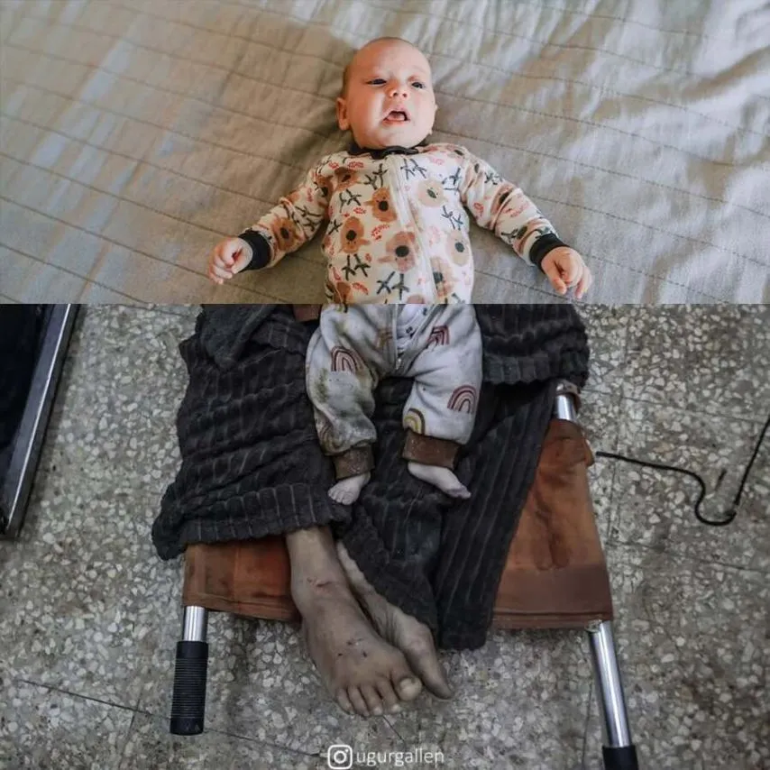 레딧서 핫한 강렬한 사진들..