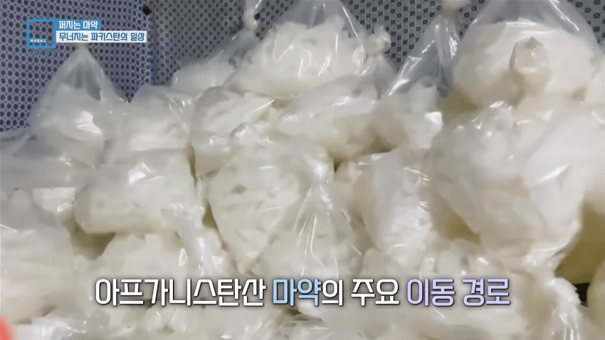 와들와들... 오늘도 평화로운 파키스탄 근황.. (25)