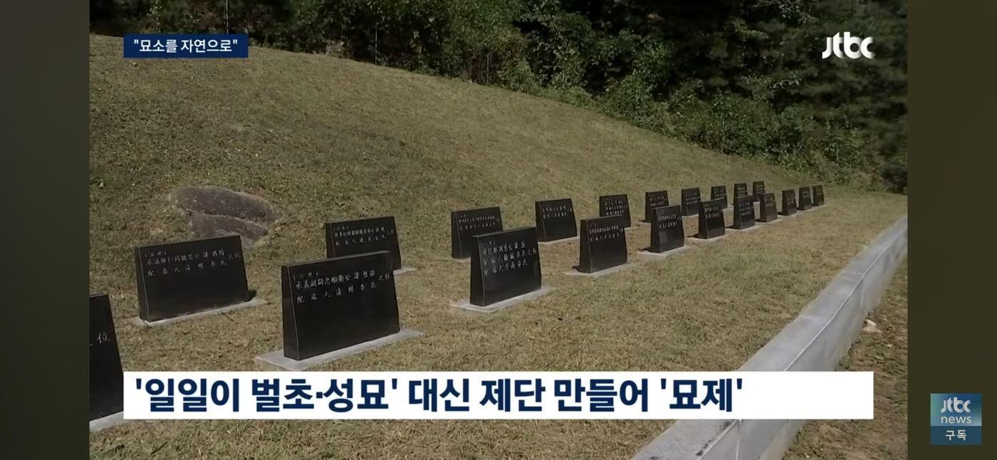벌초문화 사라지나 (2)