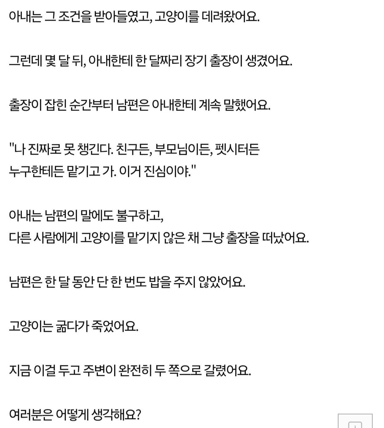 남편이 고양이를 굶겨 죽였어요!!! (2)