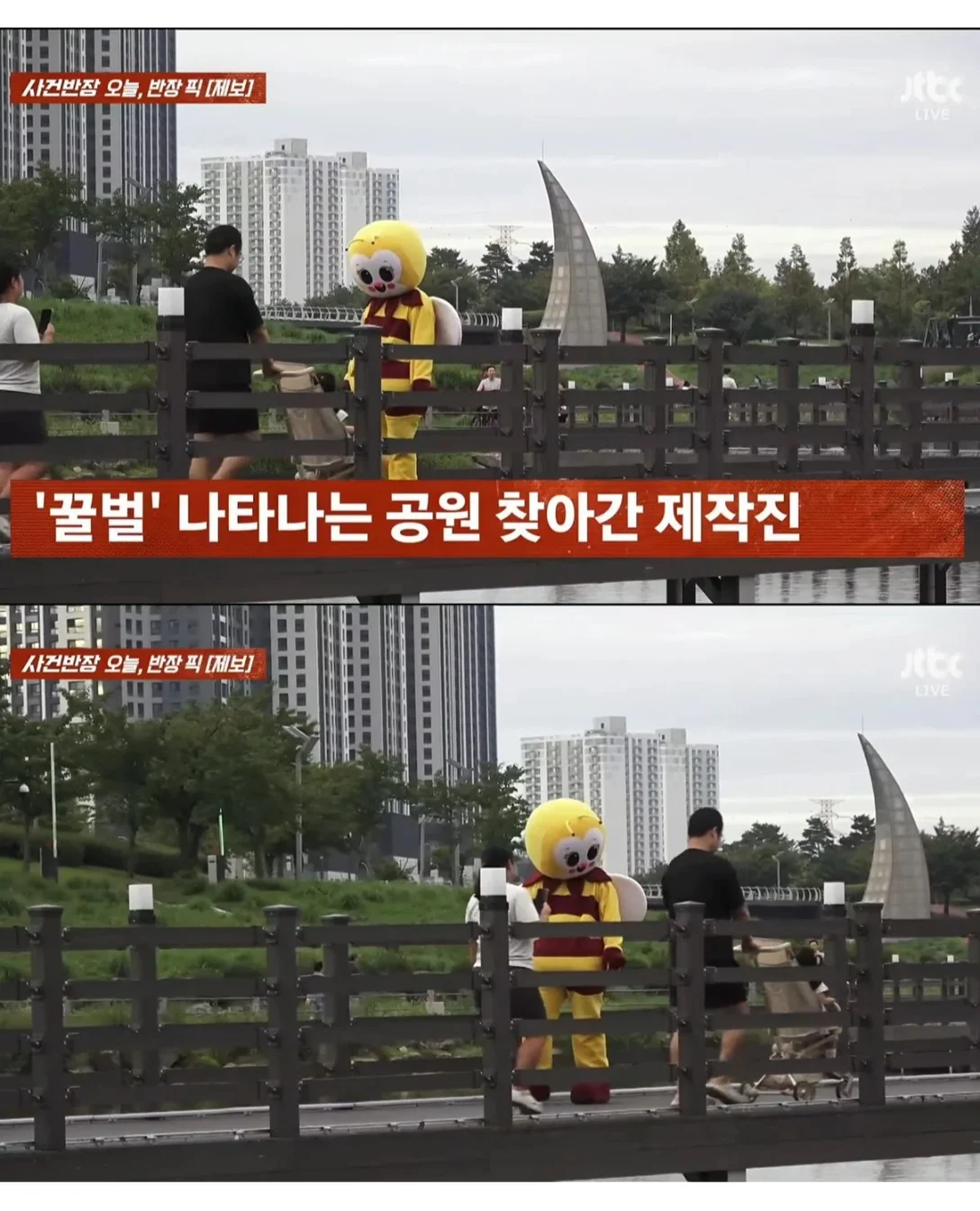 JTBC 사건반장 촬영 싫다는 꿀벌 인형탈 억지로 찍어 내보냄 (2)