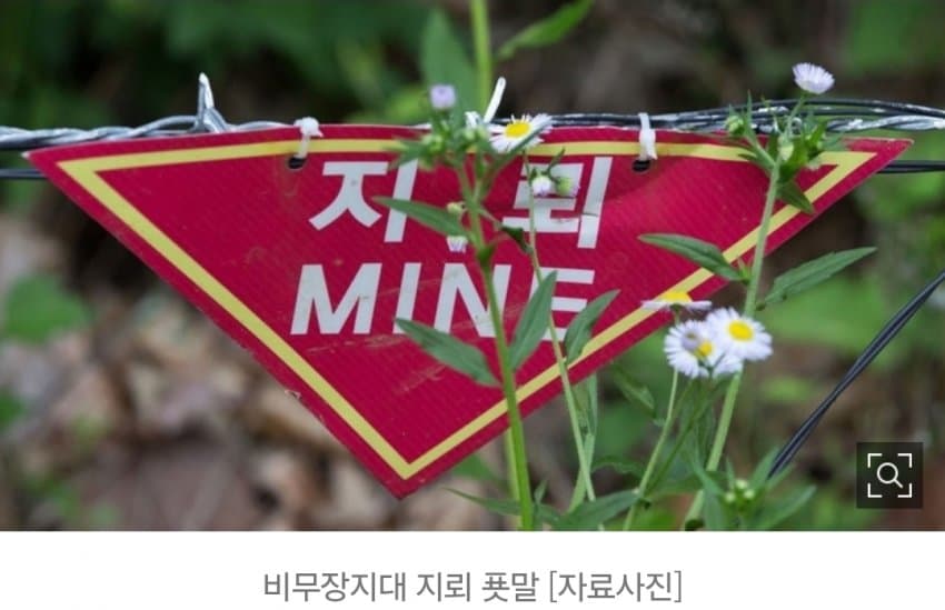 지뢰사고난 25사단 대위 지뢰와 무관하게 사망한체 발견 (4)