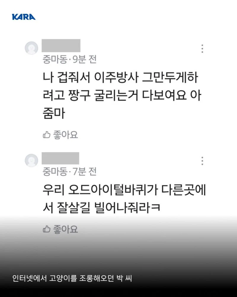 길고양이 갯벌에 무단 방사해서 익사시키고 캣맘 조롱한 남성 동물학대죄 인정 받음 (4)