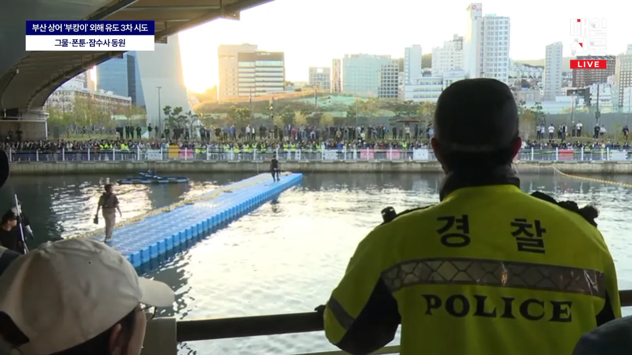 부캉부캉 부캉이 근황 (2)